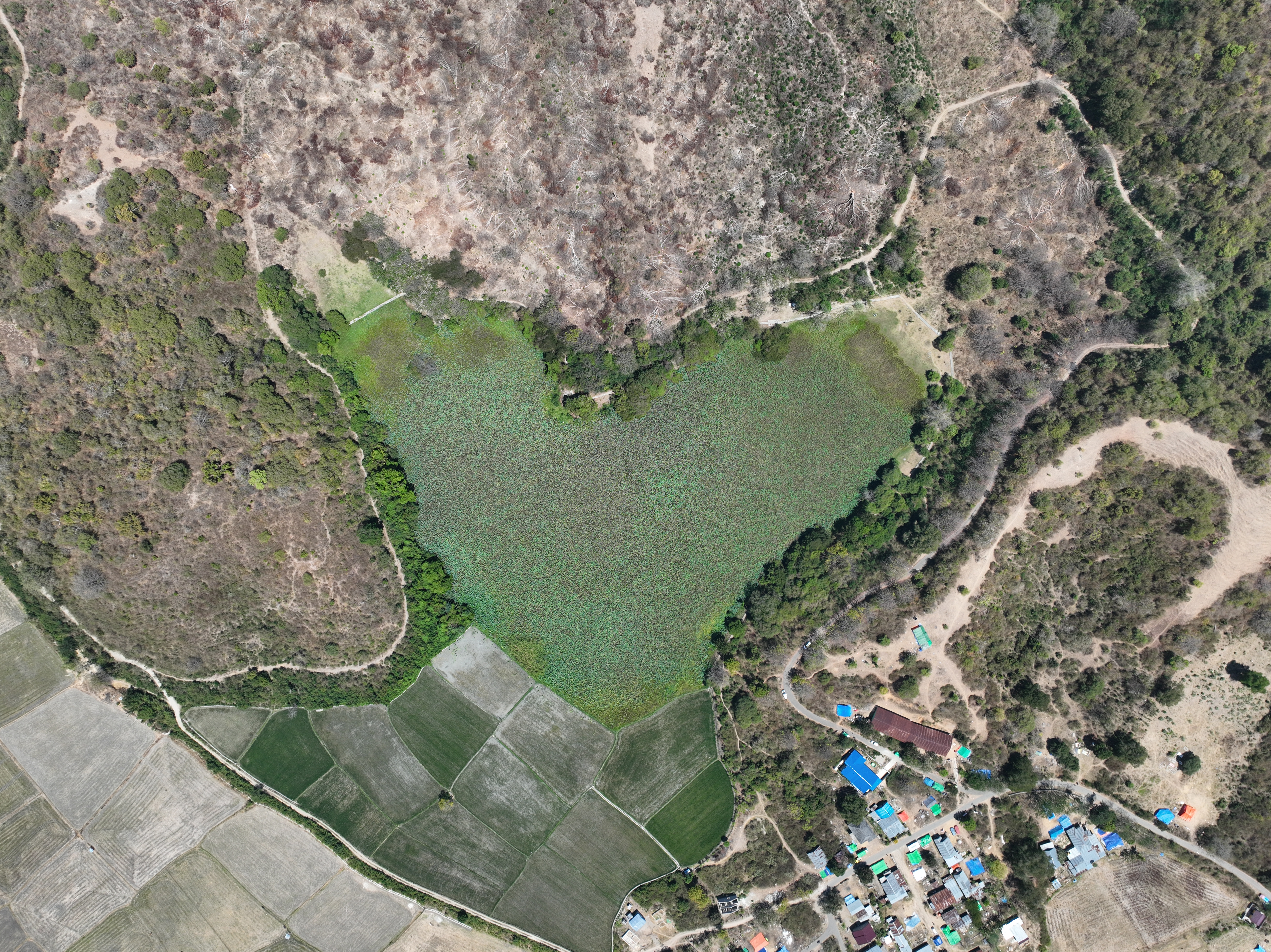 DJI Aerial Survey Documentation